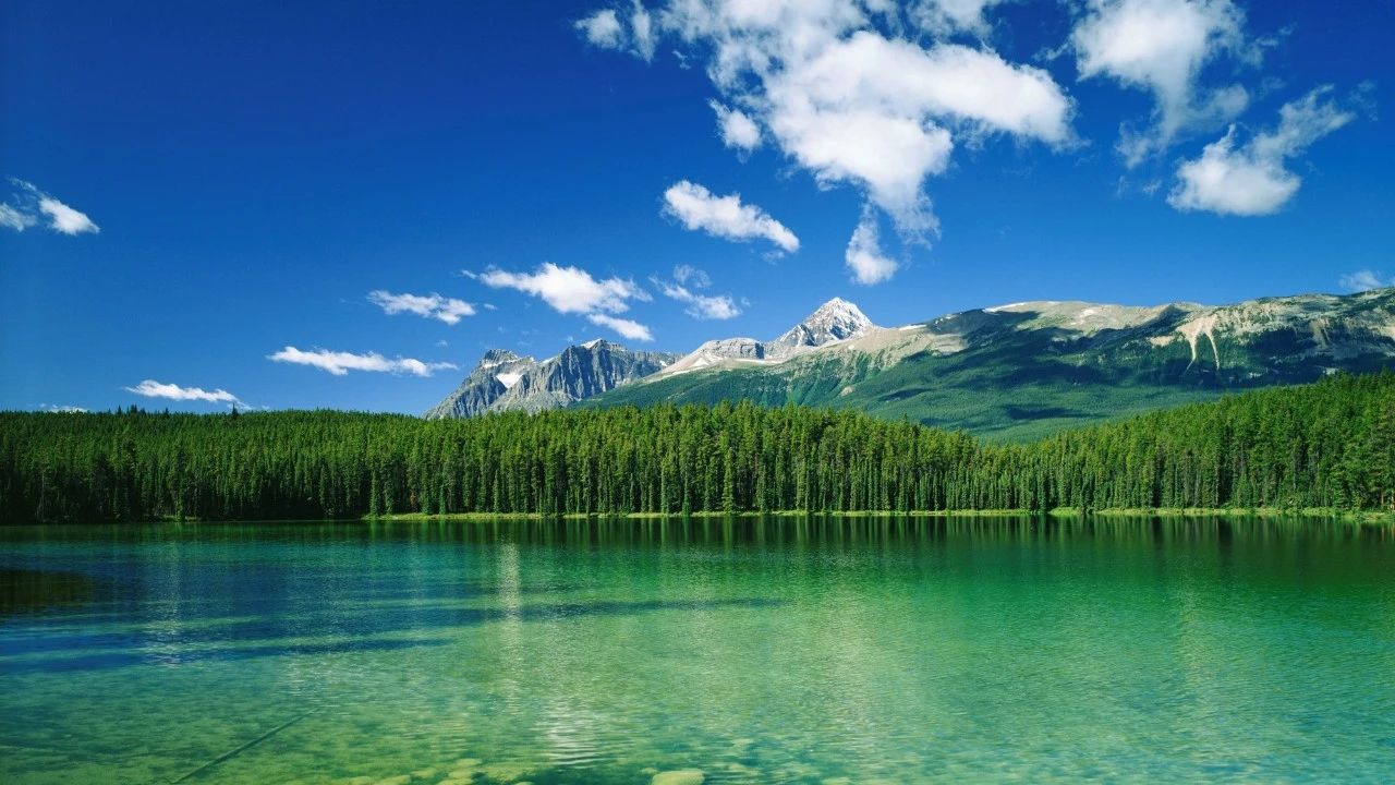 微信图片_20240925134300